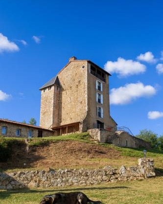 Château Montegut Pyrénées Rustique