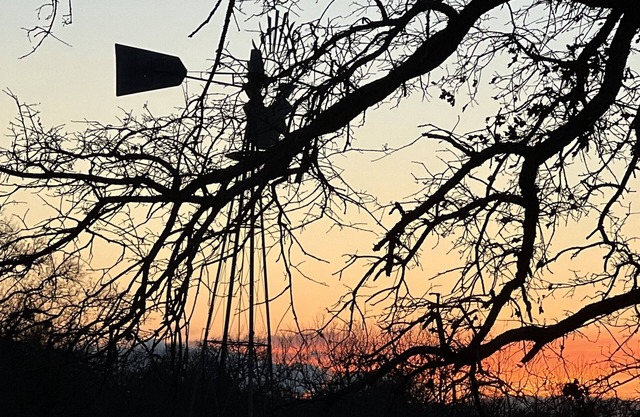 Charming country home, game room, pond, gazebo and peaceful sounds of windmill.