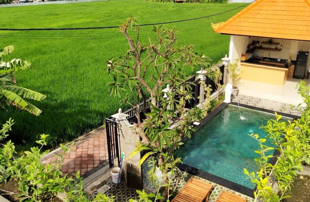 Comfortable Guesthouse with Outdoor Pool and Ricefield view