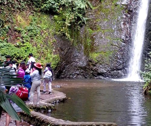 Complejo puma sacha las 7 cascadas