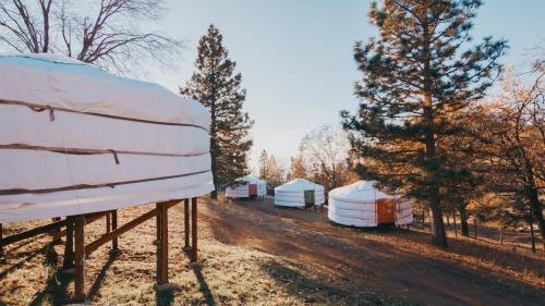 Cosy yurt at a nature retreat in CA