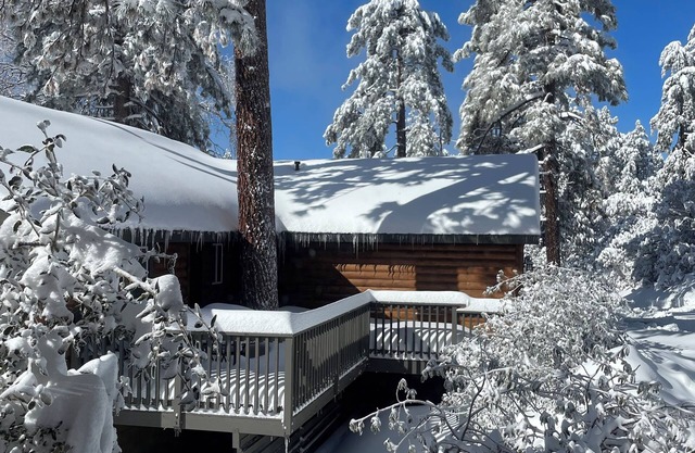 Cozy 3 bedroom house in Idyllwild with garage and electric car charging outlet.