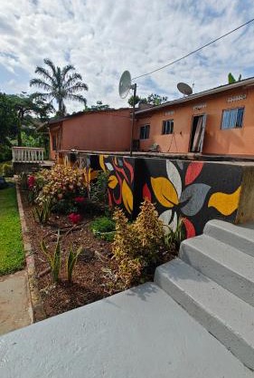 Eco Cribs