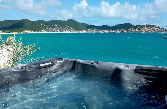 Fig Paradis SXM. Apartment (private pool & Jacuzzi facing the sea)