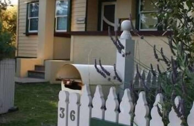 Fitzgerald Cape Paterson