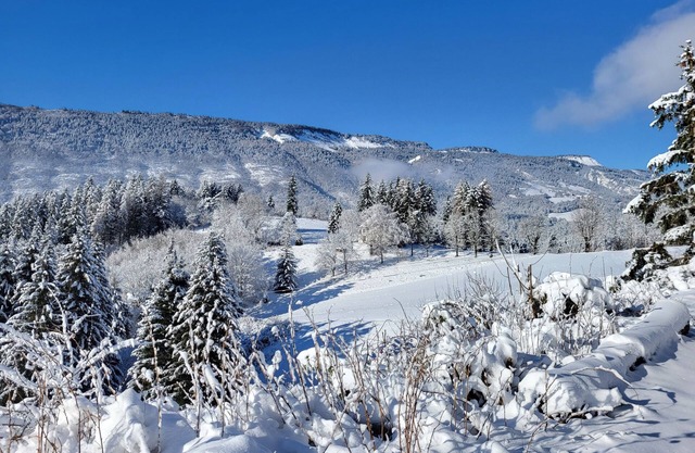 Gite vue Magnifique sur Montagne Dans le Vercors .pas de Voisin Ensoleillé