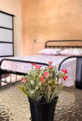 Hospedaje Jardin