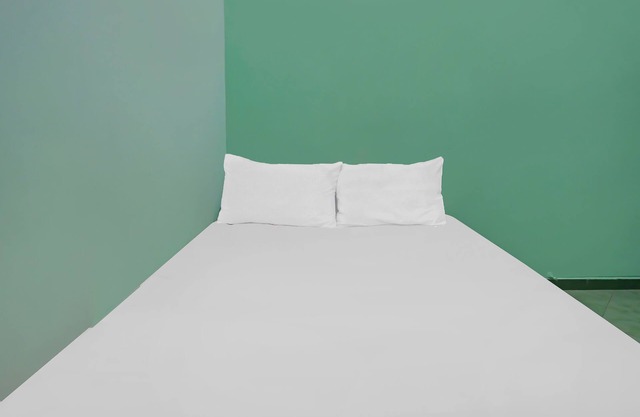 Hotel O Homestay Bude Sri