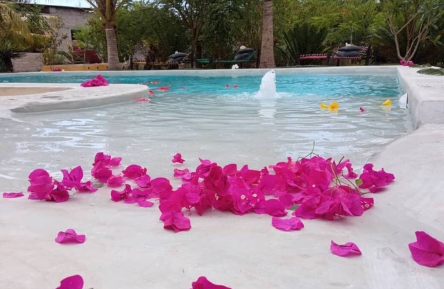 House with private pool and garden, Bwejuu, east coast Zanzibar