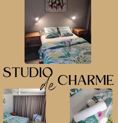 Joli studio cocooning & discret, à 2mns de la 4 voies
