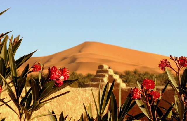 La Vallée des Dunes - Auberge, bivouacs et excursions