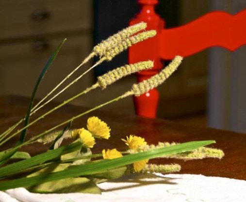 Le Casacce Case per Vacanze