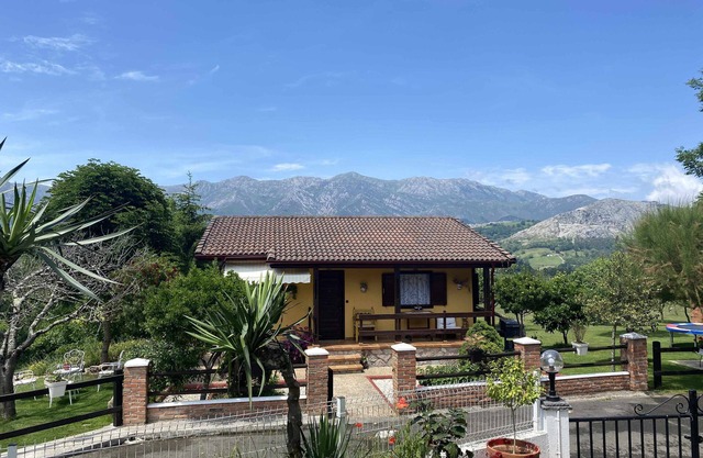 Madagascar Corner VV-2192-AS