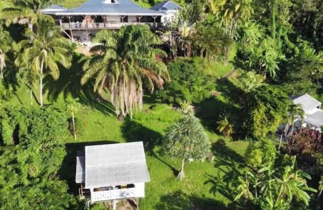 Maison en Bois en Pleine Nature