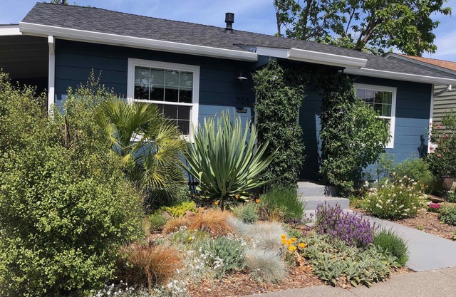 Mid-century bungalow in wine country