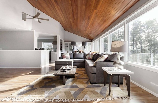 Modern Huge Deck Wood Stove Pet-Friendly
