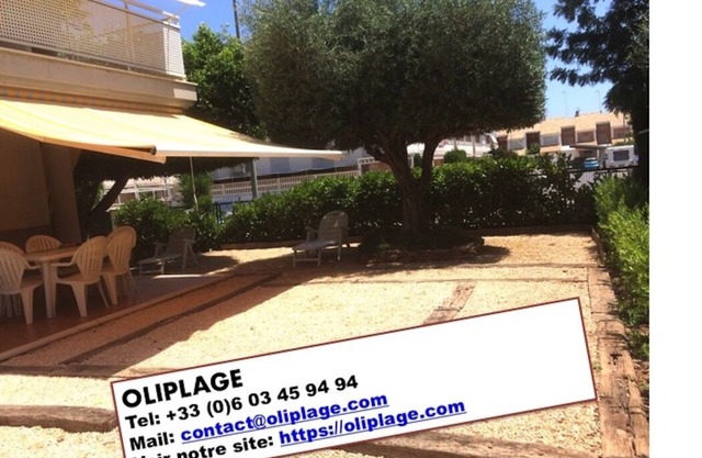 ❤️ OLIPLAGE ❤️ Between Beach and Orange trees, under the Olive tree ❤️