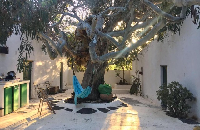 Patio I