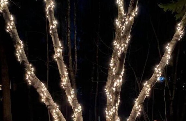 Pet friendly entire home |The House on James