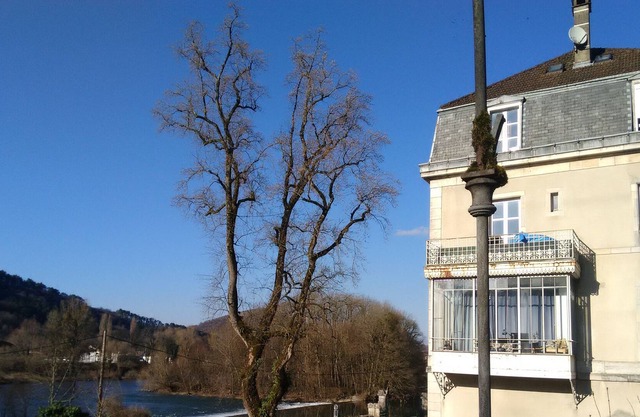Quiet apartment on the banks of the Doubs