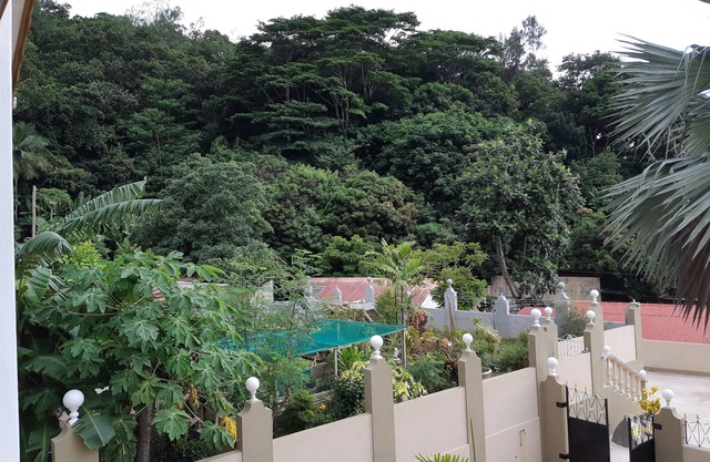 Relax and Quiet Place