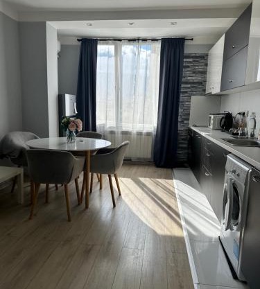 Rose's apt - NEWLY REFURBISHED, South park, Free Parking, Mountain View, self check-in, close to metro, stores, family-friendly