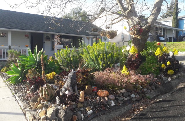 Safe, Cozy, Clean, Quiet, Home in Family-Friendly Residential Neighborhood.