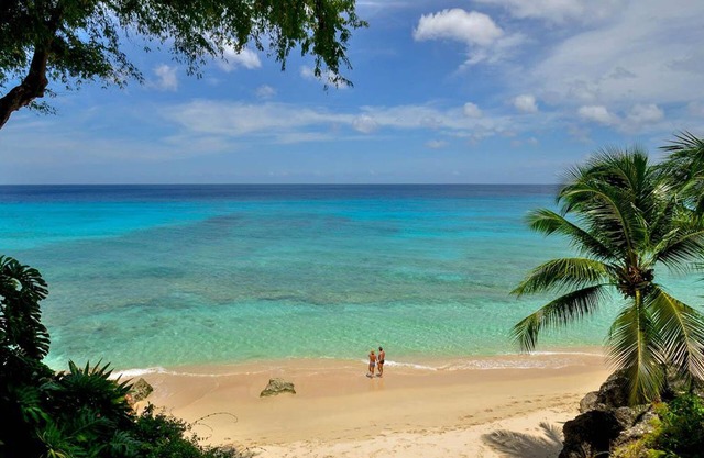 Secret Cove 1 is like an enchanting cabin in the woods, set amid rustling