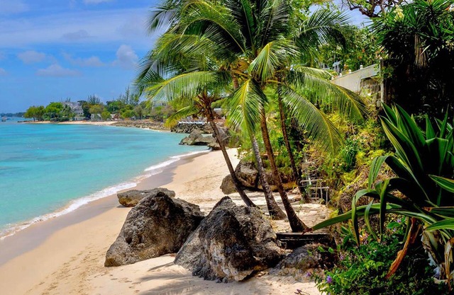 Secret Cove #4 is like an enchanting cabin in the woods, set amid rustling