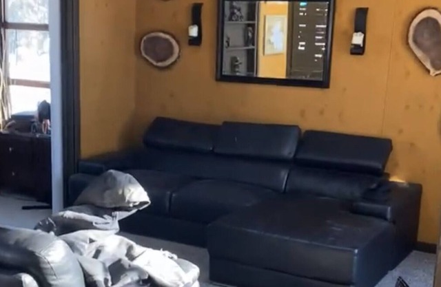 Small cabin in the woods