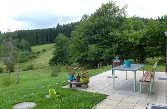 Spacious renovated farmhouse for 11 people