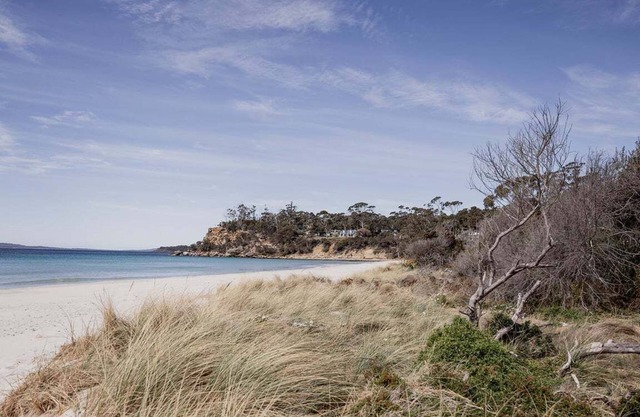 Spring Beach Rise at Spring Beach