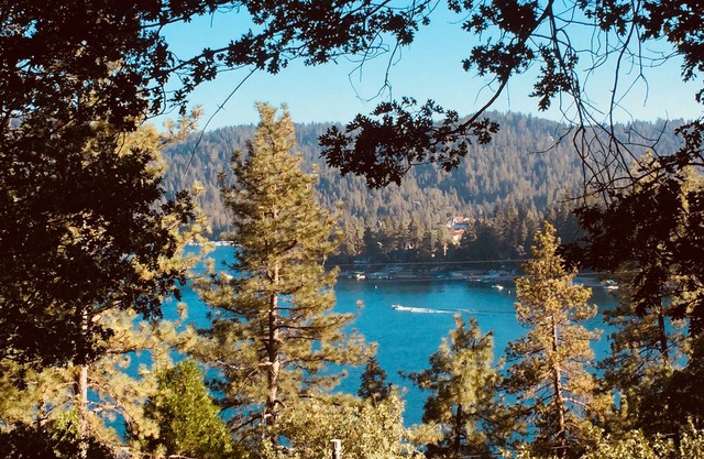 Stunning 3BR Lake View Gem w/Lake Access. S'mores ready Fire Pit-Dog Friendly