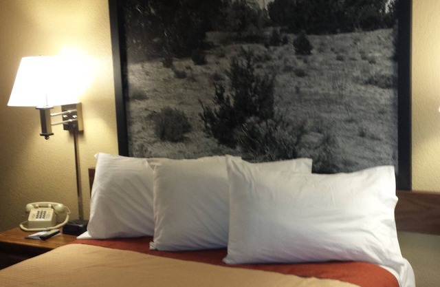 Super 8 by Wyndham Las Cruces/White Sands Area