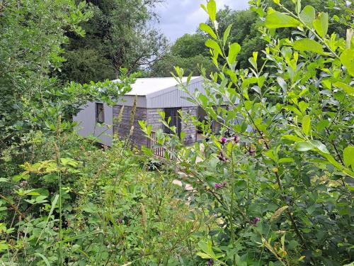 The Lake House-an utterly private cabin on nature reserve & hot tub