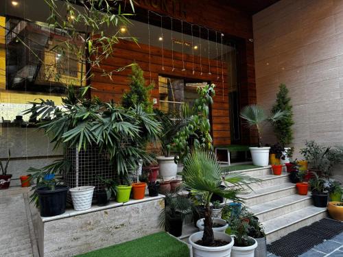 #The Vaikunth# Mcleodganj# Dhauladhaar View# Big free Parking# Ac rooms Centrally#Elevator#Soundproof rooms#