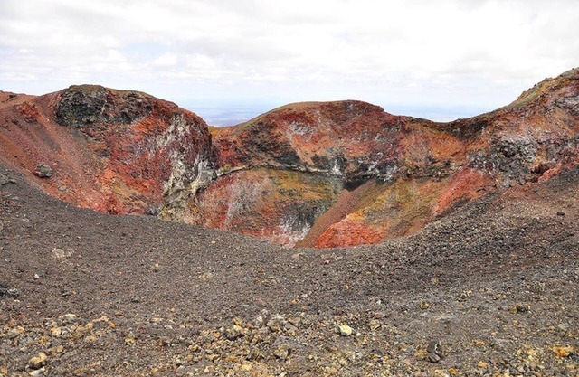 Tour to volcan, swim with sharks - Marriat #2