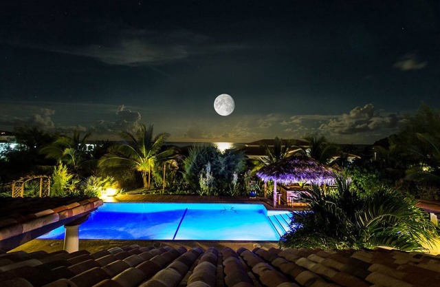 Villa Tropicale and paella party
