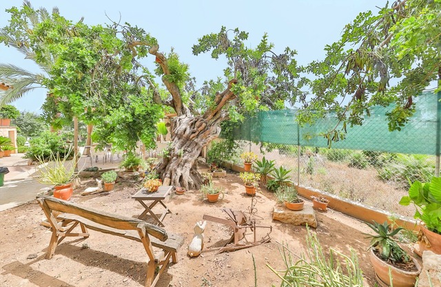 Villa with pool and sea views - Can Trobat