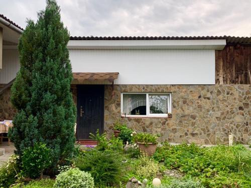 Svalyava Apartment | Апартаменты PAROSTKI