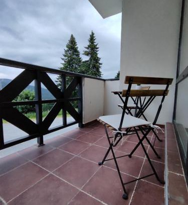 Pamporovo Apartment | Апартамент А101 хотел Снежанка