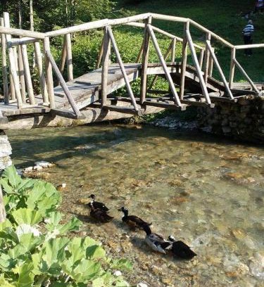 Montenegro Apartment | Апартман Снежана