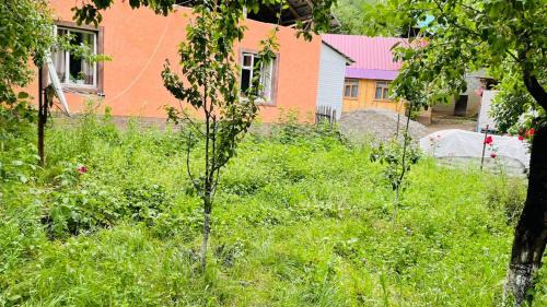 Arkit House | Гостевой дом Айнура