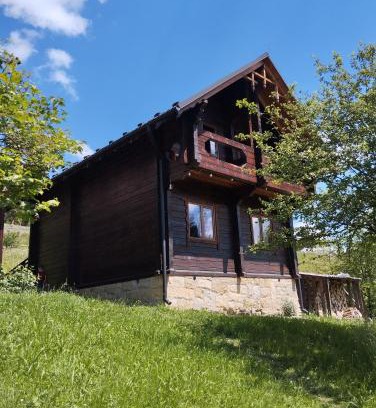 Palyanytsya Apartment | Котедж Славний гуцул & СПА чани джакузі