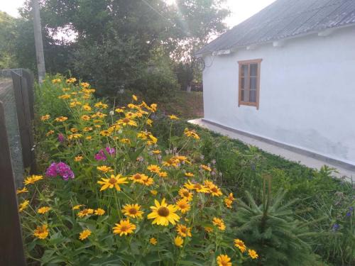 Kiev Oblast House | Соколине Гніздо
