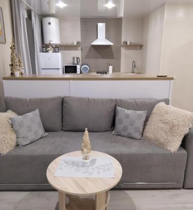 Maliyevtsy Apartment | Студия на Проскуровской 16