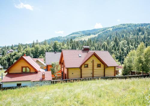 Pylypets Ski Chalet | Шалe у Пилипці Chalet Pylypets