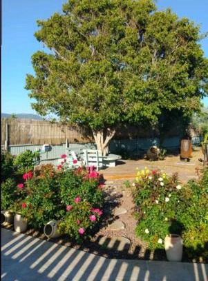 Hazon Apartment | בחצר של טובה