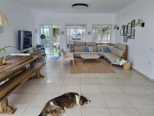 Hod HaSharon Apartment | כמו וילה במרכז השרון