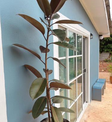 Thong Pha Phum House | บ้านพอดีโฮมสเตย์ทองผาภูมิ -กาญจนบุรี